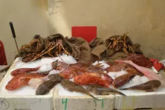 marche-aux-poissons-2